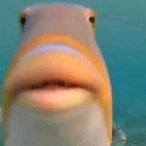 Meet your Posher, Gerardo